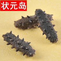 Champion Island Light dried sea cucumber Light dried thorn ginseng dry goods T1