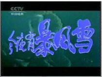 DVD version Tonight there is a snowstorm] Ren Meng Fu Lili Lu Yi 4 episodes 1 disc