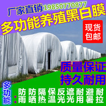 Breeding black and white film Greenhouse film High quality sunscreen thickened cooling reflective shading plastic film Anti-aging non-drip film
