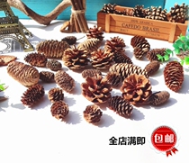 Pinecone wood chips Natural dried flower plug rod Pinecone showerhead Eternal flower Pinecone fruit Nature shooting props Forest department