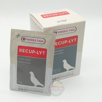 Belgian Versell Electrolyte bird special supplement body fluid to prevent dehydration 20g bag