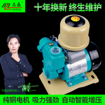 Famous Lei booster pump tap water silent automatic water pump household 220V self-priming pump water well small pump