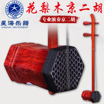 Beijing Xinghai 87022X Rosewood Jingerhu Learning to Play Erhu Send Accessories