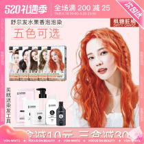 Shul Hair Bubble Shampoo Pure Plant No Stimulation Simple Dyeing Hair Woman 2021 Pop Color white foam Dye Hair Cream