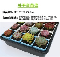 Multi-meaty nursery tray thickened plastic leaf insert carrying basket Rectangular water tray tray bag