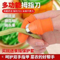 Special gloves for picking pepper picking beans iron nail sets choking vegetables peeling beans agricultural thumb knives ring knives finger knives