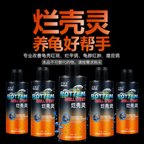 The turtle turtle turtle turtle turtle turtle turtle povidone iodine solution rot skin rotten armor