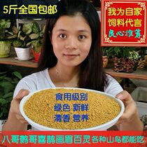 (1 piece 5 catty)Thrush starling Acacia bird food bird feed Hainan Wren bird feed Medium Dan small Dan scrambled egg material