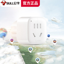 Bull Travel Converter Charger Turnover UK United States Hong Kong Singapore Japan