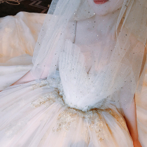 Starry wedding dress 2020 New temperament bride pregnant woman small son Super fairy dream master wedding tail shell