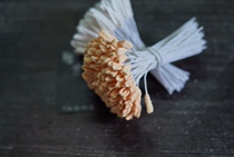 Japan imports lily protein floral pistachios with floral hearts and flowers DIY handmade dyed bouquet materials