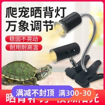 Reptile lamp holder lampshade tortoise sun back light supplement UVB lamp UVA lamp small sun lamp heating lamp water turtle lamp
