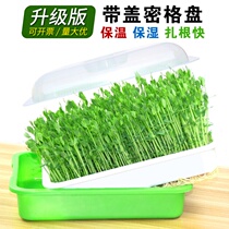 Hot sale Sprouts hydroponic tray Bean sprouts seedling tray Bean sprouts planting tray Soilless cultivation seedling pot with lid