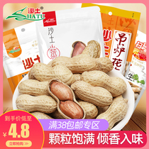 Sand furnace peanut walnut cream flavor with shell peanut snack Fry