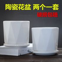 Simple flowerpot two creative White large with tray meat plant green Luo European style fleshy flowerpot