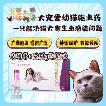 (Persimmon fungus) big favorite young cat in vitro and in vivo with anthelmintic drops 15mg 3 whole box