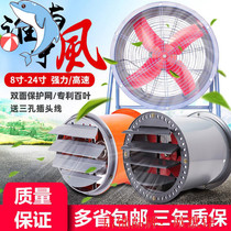 Large air volume pipeline fan axial fan 220V high power kitchen oil exhaust fan industrial exhaust fan 14 inch