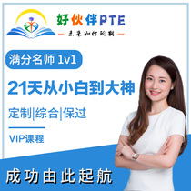 PTE Exam 1v1 Online class training course 1 to 1 guidance