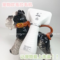 Jans pet blowing hair pulling machine PD-9800 blow drying and modeling machine Hair dryer needle comb Dog hair blowing machine