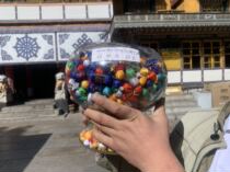 Zaki recruits the pot of poultry