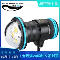 Weefine Solar Flare Max 10000 lumens professional photography Light Super Wide Angle Video Light