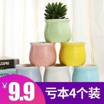 Special price 4 9 9 YUAN meaty flower pots Ceramic indoor creative meat plant flower pots Simple Macaron flower pots