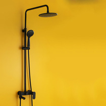 Foreign trade featured all-copper shower shower head suit duet hot and cold home Bathroom Minimu Bathroom Bath shower nozzle suit