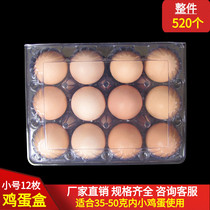 Small number 12 Soil Eggs Packaging Box Beginner Egg plastic transparent Disposable Gift Box Inner Tray
