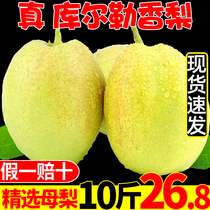 Xinjiang Korla fragrant pear fresh fruit 10kg of seasonal pregnant women special season pear whole box full mother pear