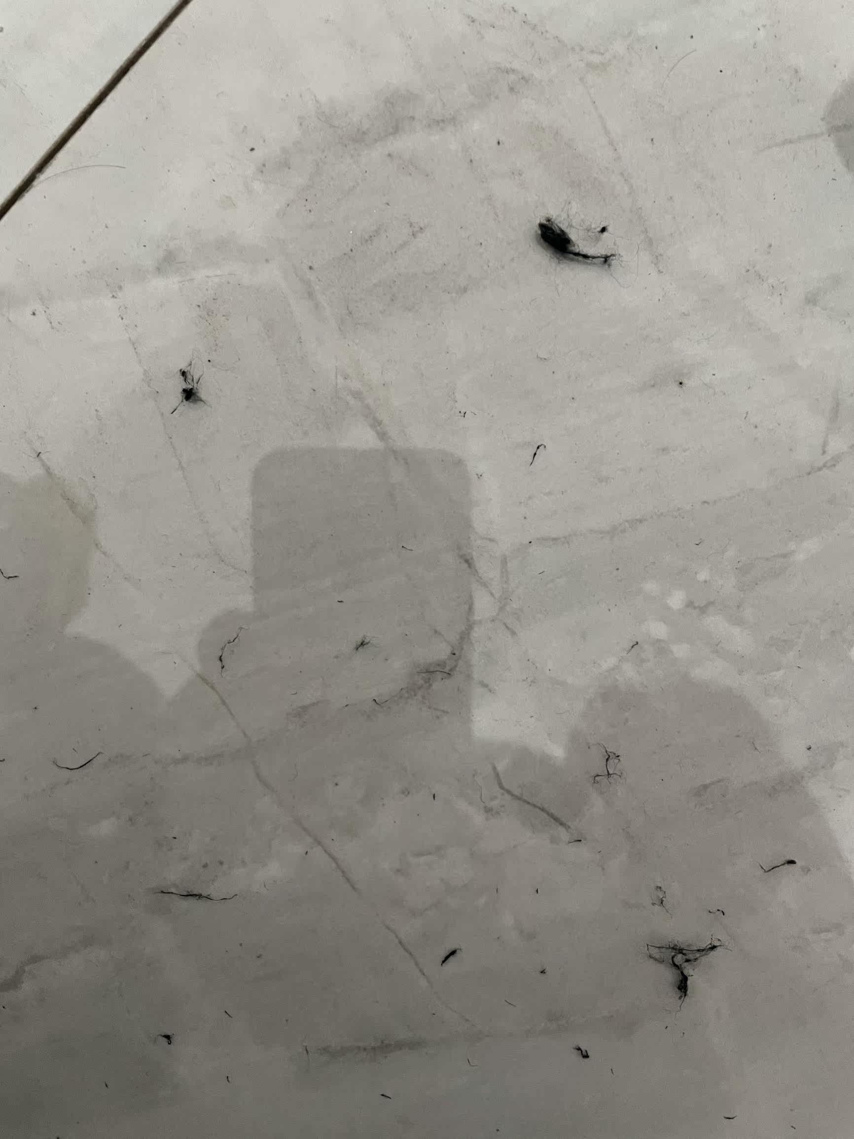 Фото отзыва