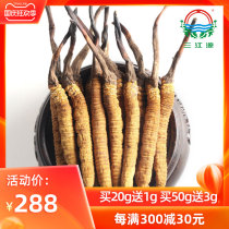 Sanjiangyuan Cordyceps sinensis Qinghai Jade Tree head stage new grass 2 5 roots 1 gram with gift box high altitude Cordyceps