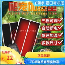 Climbing pet reptile heating pad Temperature control Lizard Snake Palace spider Scorpion Hamster Hedgehog Hermit crab heating pad