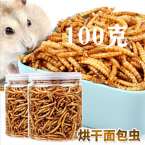 Hamster Bread Worm Dried Pet Yellow Powder Worm Food Snacks Bread Worm Rat Food Feed Supplies 100g