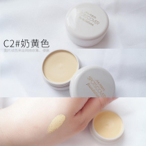 Shiseido spotscover Concealer Liquid Pen Plate Moisturizing Concealer Spotting Acne Freckles Dark Circles