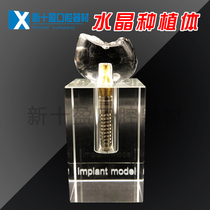 Dental Material Crystal Implant Model Large Crystal Removable Oral teaching Dental jewelry 