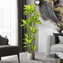 Hotel Fake Vegetal Home Decoration Nordic Large Emulation Green Planting White Hearts Young Landing Plant Bonsai Book House