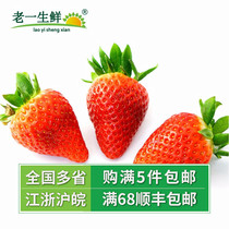 (Old one fresh) fresh strawberries about 300g boxed cake shop decoration Four Seasons sour strawberries