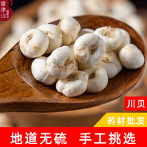 Wangjinshan Chinese herbal medicine wholesale selected domestic species Sichuan fritillary free grinding fritillary powder 100g physical store