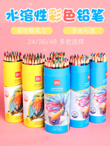 Color pencil water-soluble color lead color pen professional hand-painted 48 colors oily lead 24-color painting pen set art students with 36-color painting sketch pen childrens kindergarten