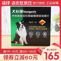 Dog heart protection insect repellent medium-sized dog a box of 6 dogs