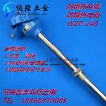 Explosion-proof thermal resistance thermocouple WZP-241 240 PT100 temperature sensor WRN-140 440 316L