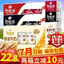 Yili grains red beans oats black sesame seeds black bean grains milk grains students and childrens nutritious breakfast milk drinks