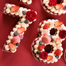 Digital cake mold big number 4 6 8 10 inch large number combined digital net red raw day cake embryoformwork