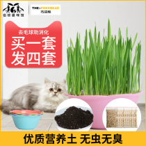  Cat grass seed mint powder Cat snacks Cat hair cream Hair removal ball Cat grass seed planting set Cat supplies