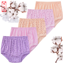 5 Middle-aged mother middle-high waist belly underwear women plus fat plus size middle-aged cotton loose shorts
