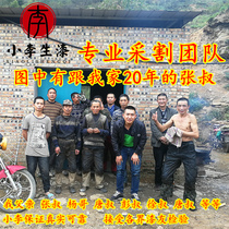 Natural native lacquer lacquer selection of authentic national lacquer primary lacquer farmers self-produced and sold Xiaoli native lacquer