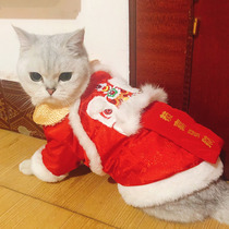 Kitty Clothes Winter Warm for Chinese New Year Down Pets Blue Cat Puppets Puppets Puppets New Year Cat Cat Owl Winter Clothing