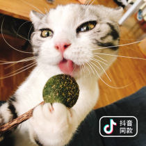 Kitty Stick wood Sky Stick Cat Snack Cat Snacks Kitty Cat Mint Teasing Cat With Peppermint Ball for a Dentity Cat