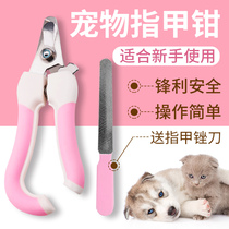 Cat nail clipper Pet nail clipper Dog nail clipper artifact Novice special cat claw Rabbit cat nail clipper supplies