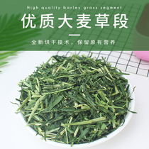 Barley grass grass section Rabbit food Rabbit Dutch pig Chinchilla food feed Hay forage Rabbit grass grass grass food 100g